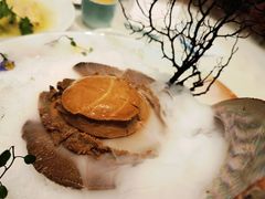 -蝶园·装修中(BFC外滩金融中心店)