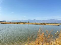 -野鸭湖国家湿地公园