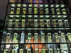 -广东中医药博物馆
