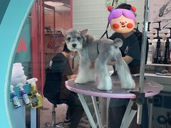 -FAELING PETS美天灵宠物(合生汇店)