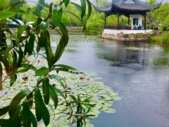 -无锡蠡湖国家湿地公园-蠡园