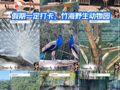 -栾川竹海野生动物园