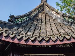 -上海醉白池公园