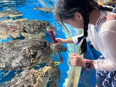 -泉城欧乐堡海洋极地世界