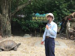 -广州长隆飞鸟乐园