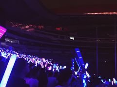 -南京奥林匹克体育中心-体育馆