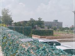 -莫子山公园