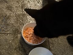 -Tuna maki寿司(苏州万象天地店)