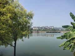 -枫香湖儿童公园