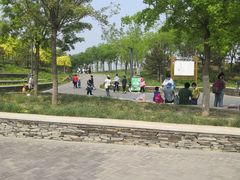 -东郊湿地公园
