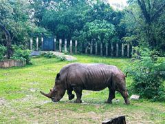 -深圳野生动物园