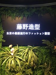 -藤野造型