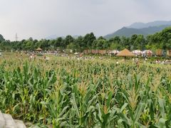 -太阳湾风景区