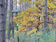 -帽儿山国家森林公园