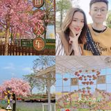 高明盈香生態園