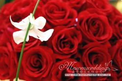 美雯苏宁卢浮宫-苏宁环球套房饭店·宴会厅