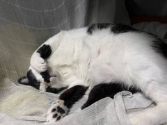 -秋记大排档(国威公寓店)