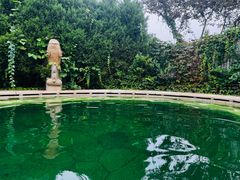 -大连金石滩绿发温泉假日酒店