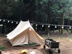 -重庆睡佛山森林公园
