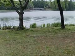 -金鸡湖景区