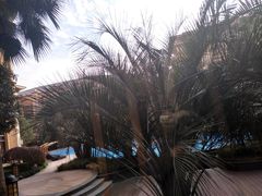 -上海浦东星河湾酒店