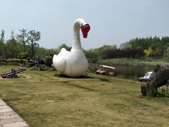 -杭州湾海上花田景区