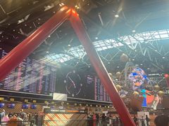 -谢列梅捷沃国际机场