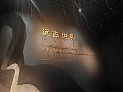 -老·贝尔杂碎馆