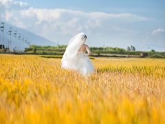 -理想国摄影(三塔店)