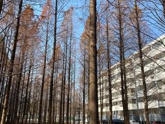-曲阜师范大学(曲阜校区)