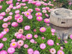-厦门园林博览苑