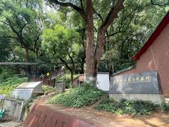 -马王堆汉墓遗址