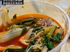 -西南政法大学(渝北校区)