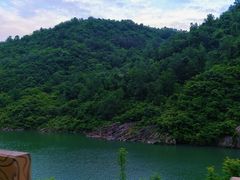 -后柳水乡
