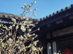 -朱家花园