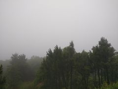 -雨花胜境