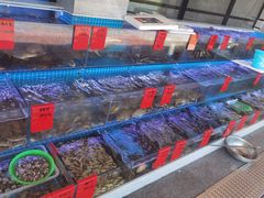水产区-洲晓鲜·舟山海鲜大排档(朱家尖风景区店)