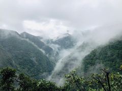-武陵山森林公园