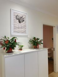 -SILKTONE诗丽堂美容