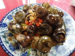 阳朔特色田螺酿-生态苑农庄(十里画廊遇龙河店)