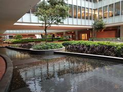 -香港大学