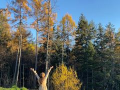 -五营红松林海景区