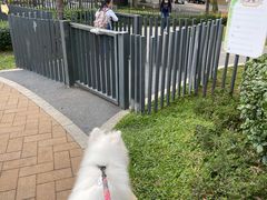 -景田北六街公园宠物主题园