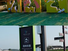 -杭州湾海上花田景区