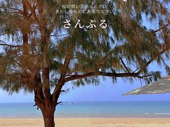 -石螺口海滩