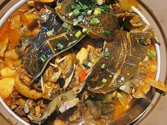 -洞庭家宴·头牌甲鱼(广渠门店)