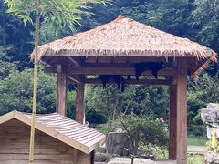 -黔灵山公园