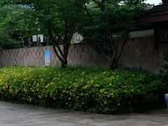 -绍兴镜湖国家城市湿地公园