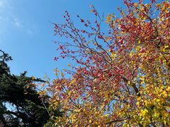 -北京友谊宾馆·俄罗斯餐厅