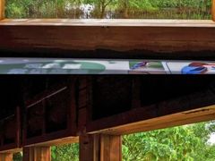 -华侨城湿地公园